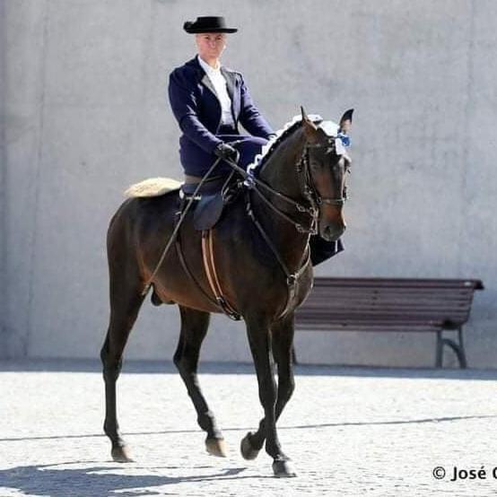 Horse Riding Country House Vila Franca de Xira Ngoại thất bức ảnh