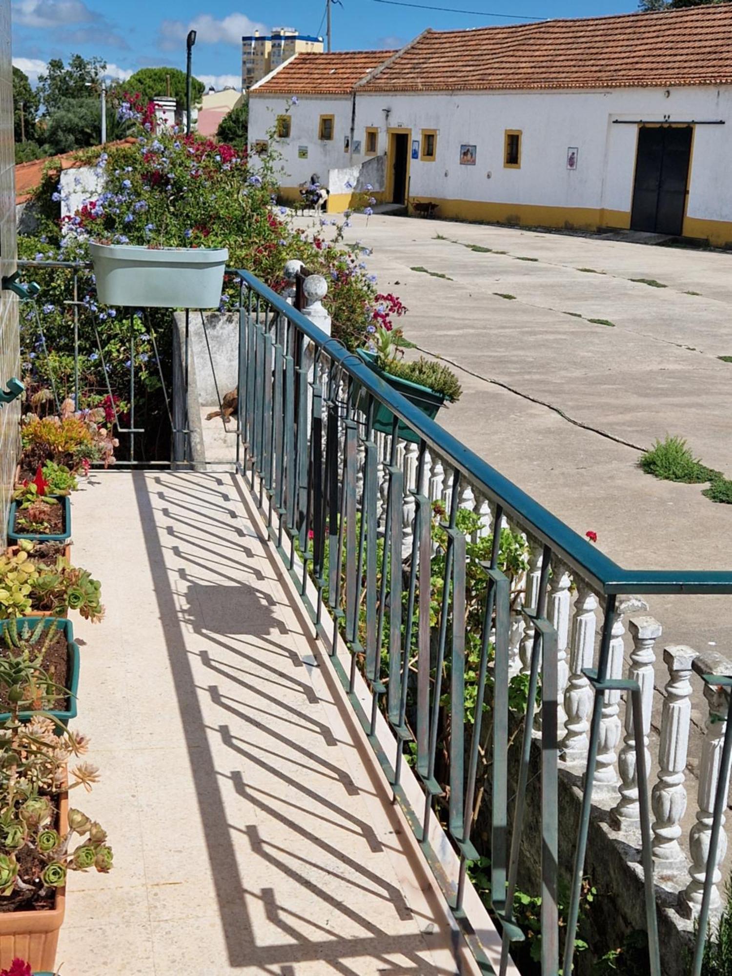 Horse Riding Country House Vila Franca de Xira Ngoại thất bức ảnh