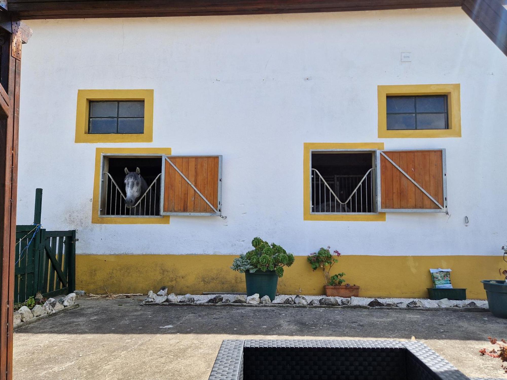 Horse Riding Country House Vila Franca de Xira Ngoại thất bức ảnh