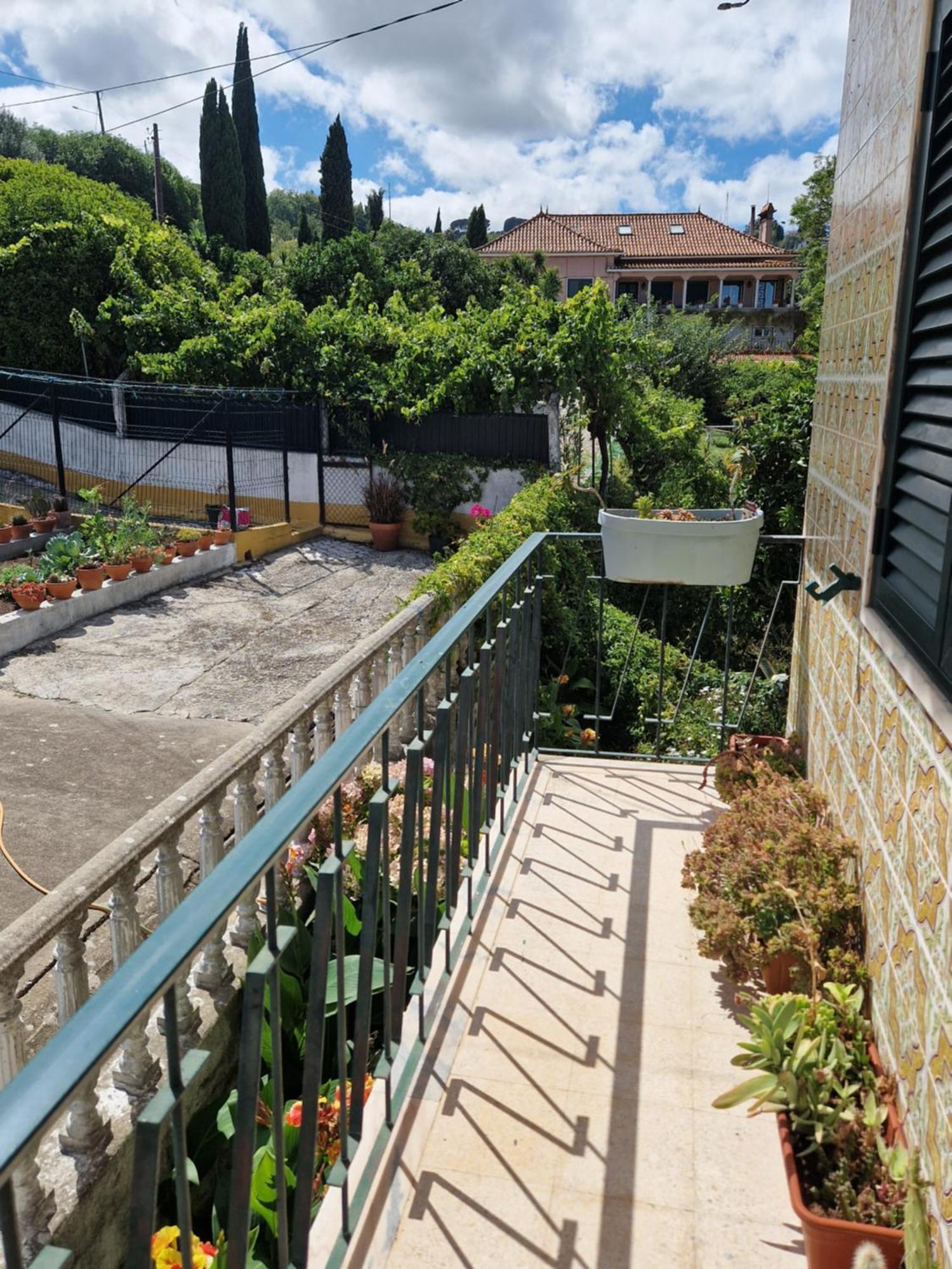 Horse Riding Country House Vila Franca de Xira Ngoại thất bức ảnh